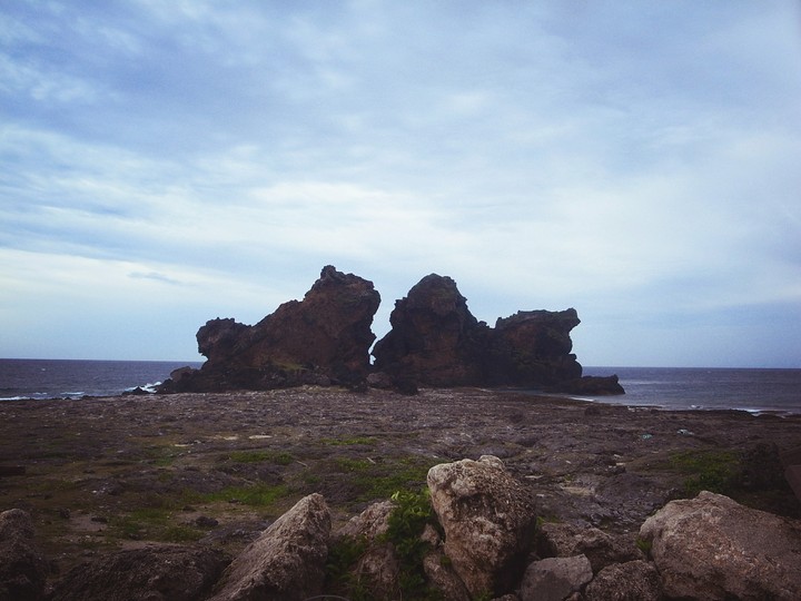 兩隻獅子