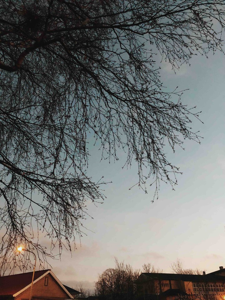 Evening
