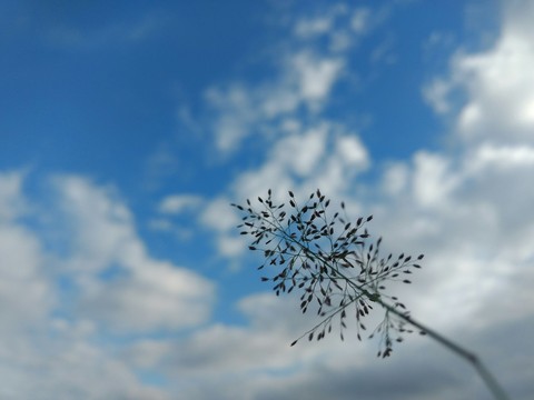 blue sky