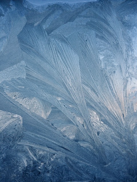 BUZ-ICE