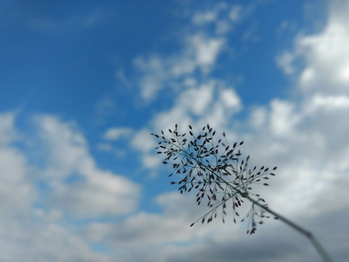 blue sky