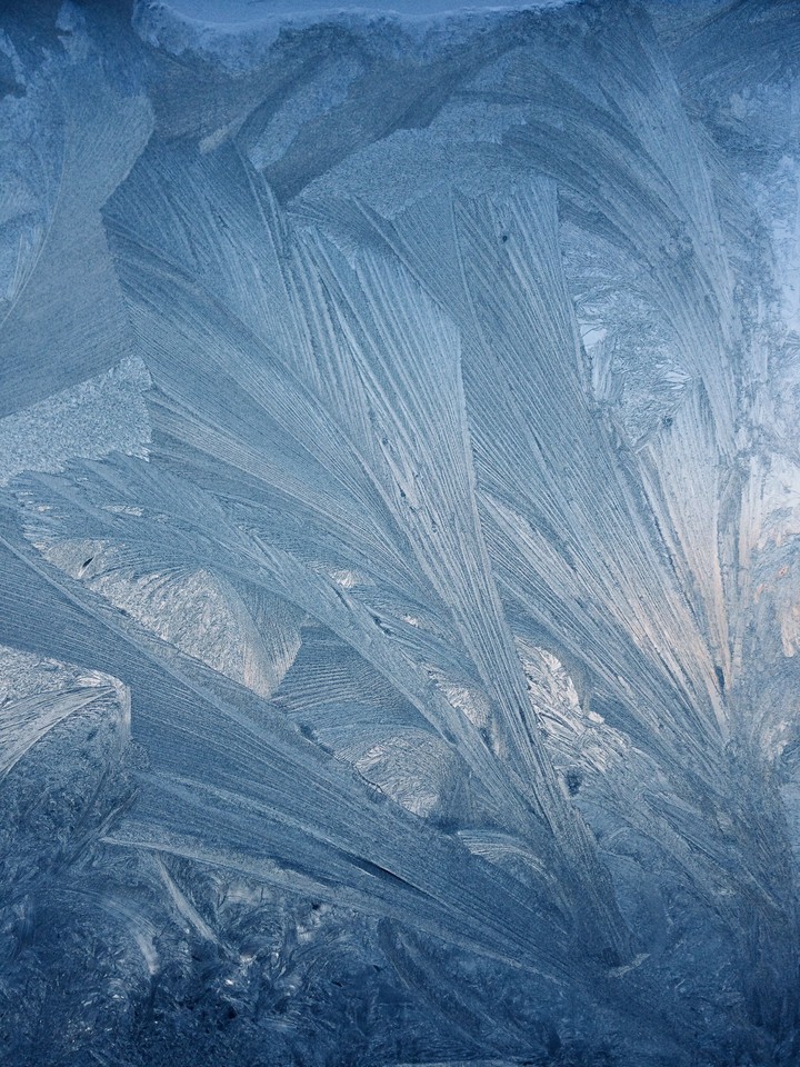 BUZ-ICE