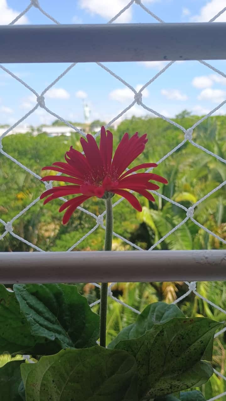 .