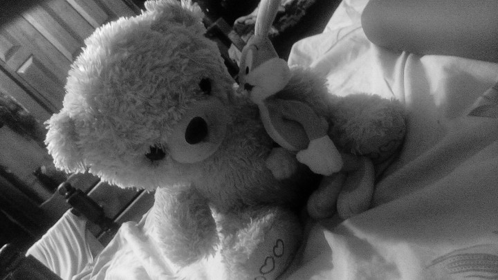 Even Teddys could be best friends 