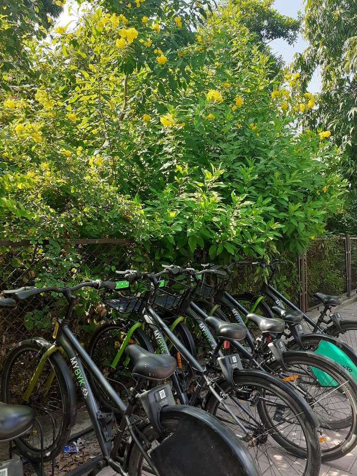 cycling