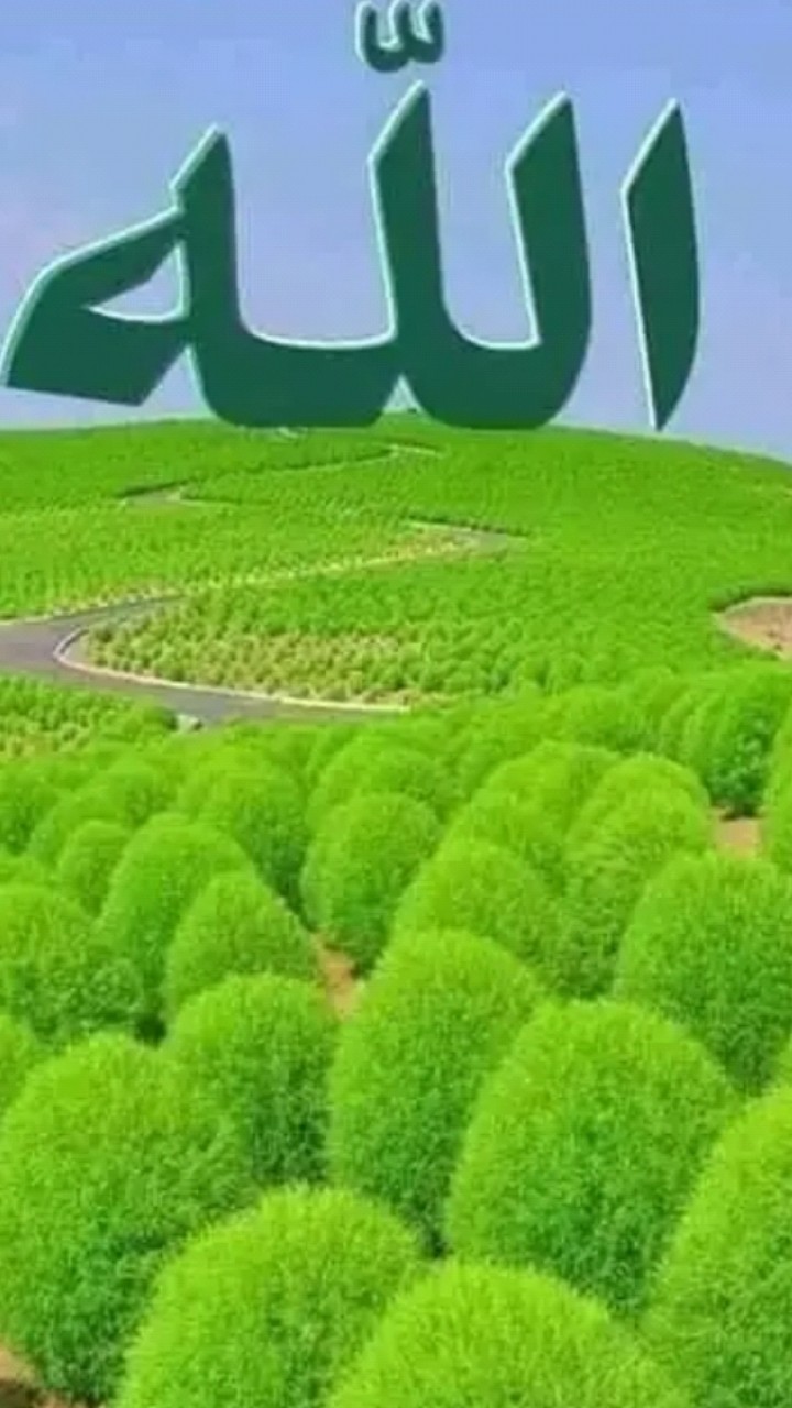 Hi