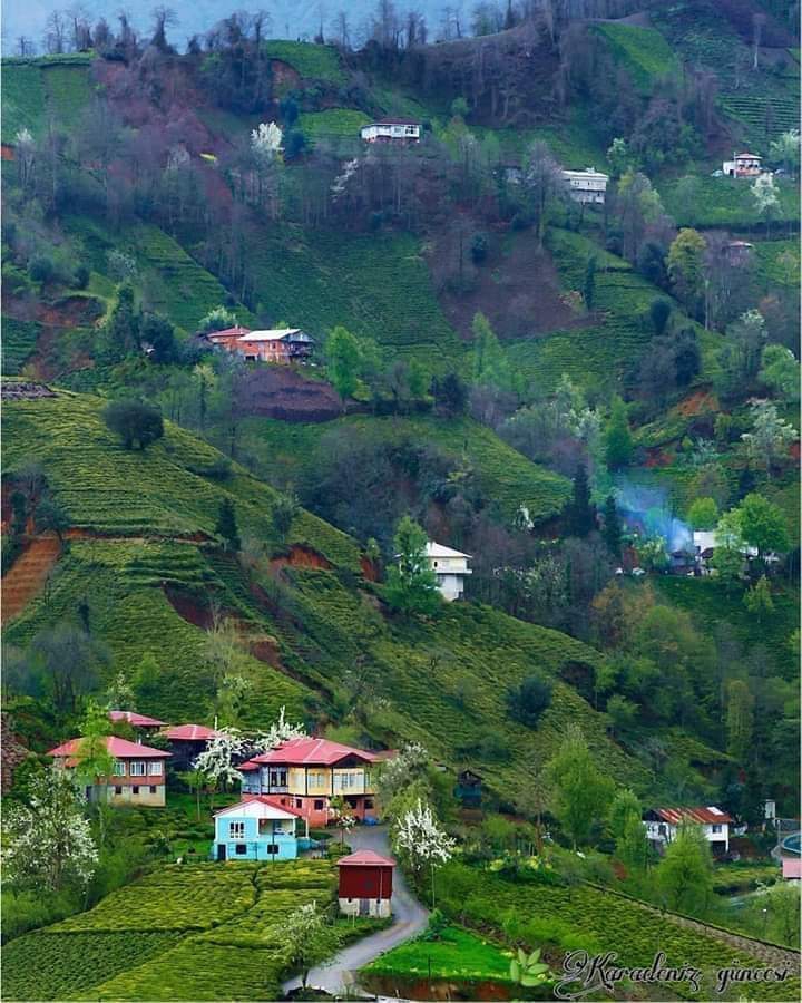 Turkey / Giresun