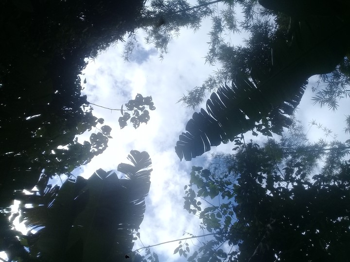 sky