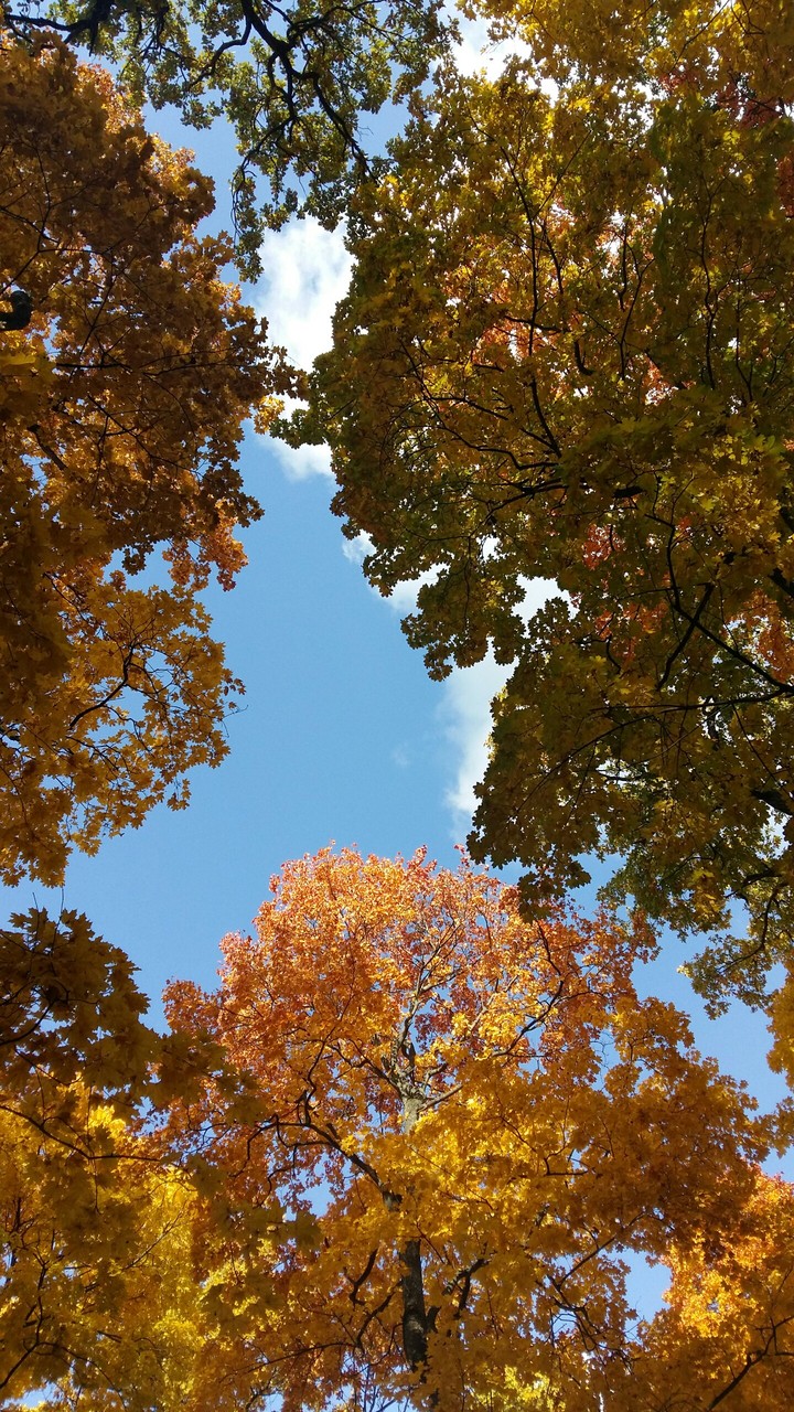 Just look up