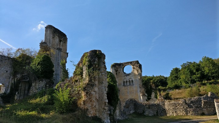 Abbey Ruins