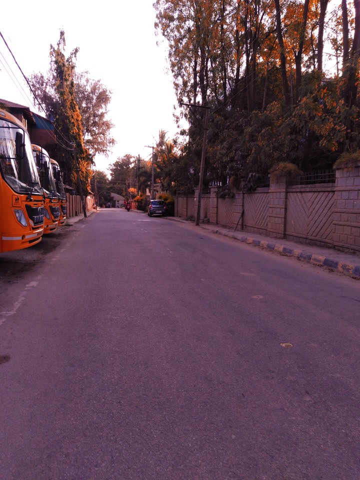 school buses