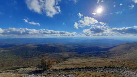 רקעים plant, mountain