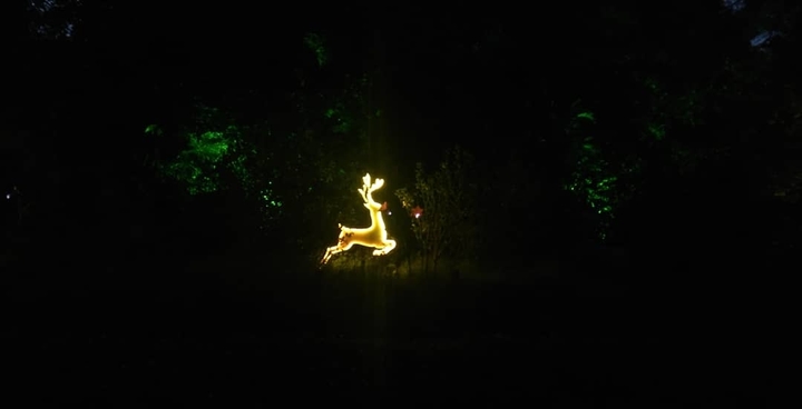 Happy Rudolph