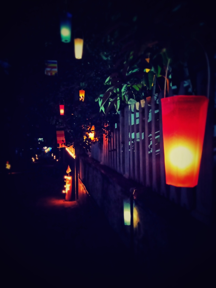 vesak✨️