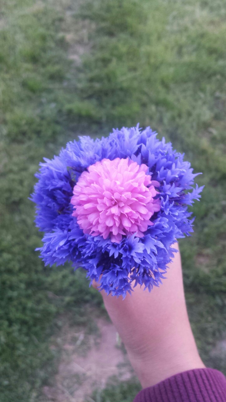 flowers