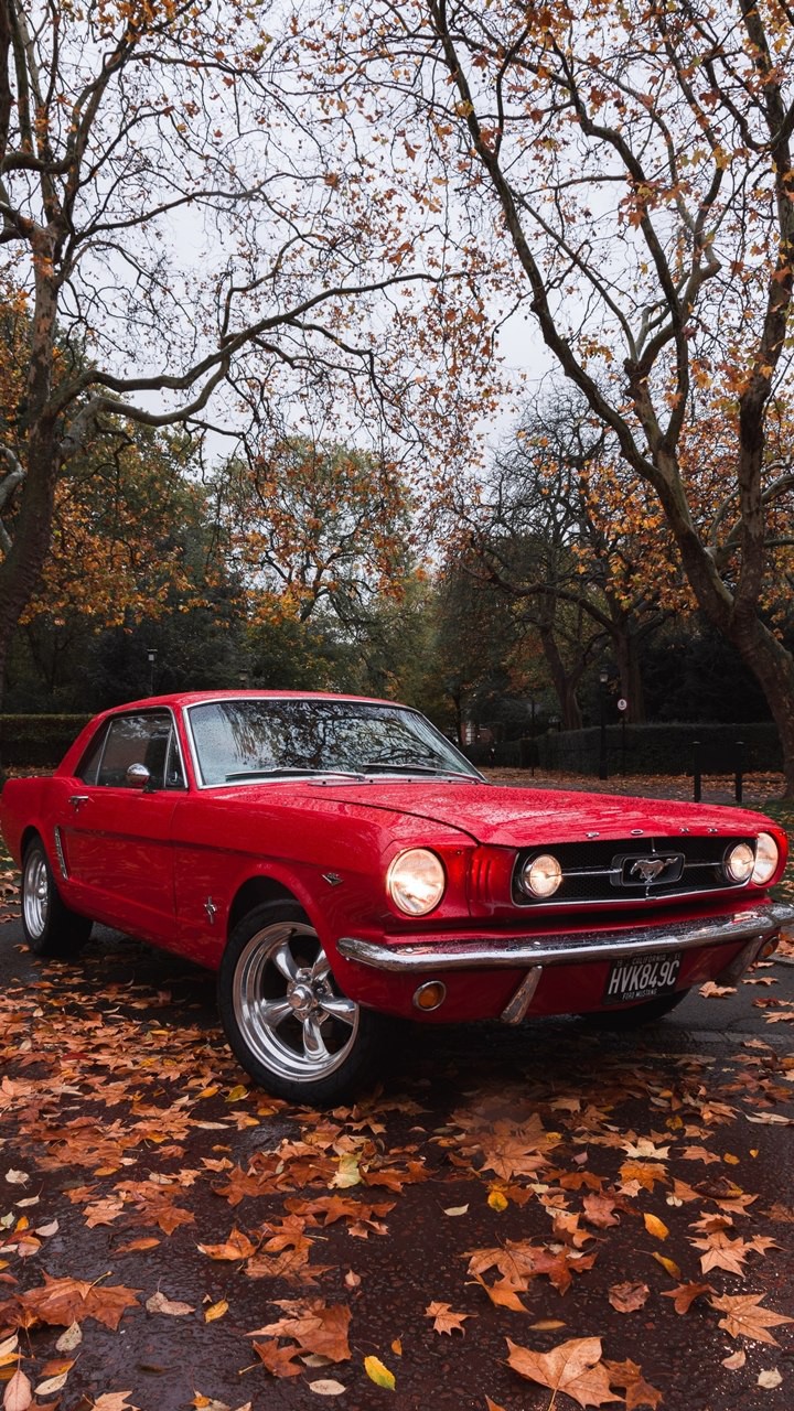 ford Mustang