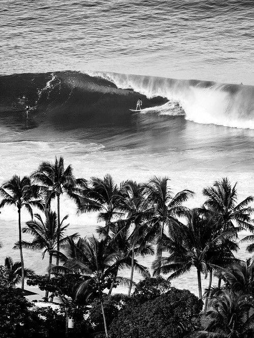 surfando
