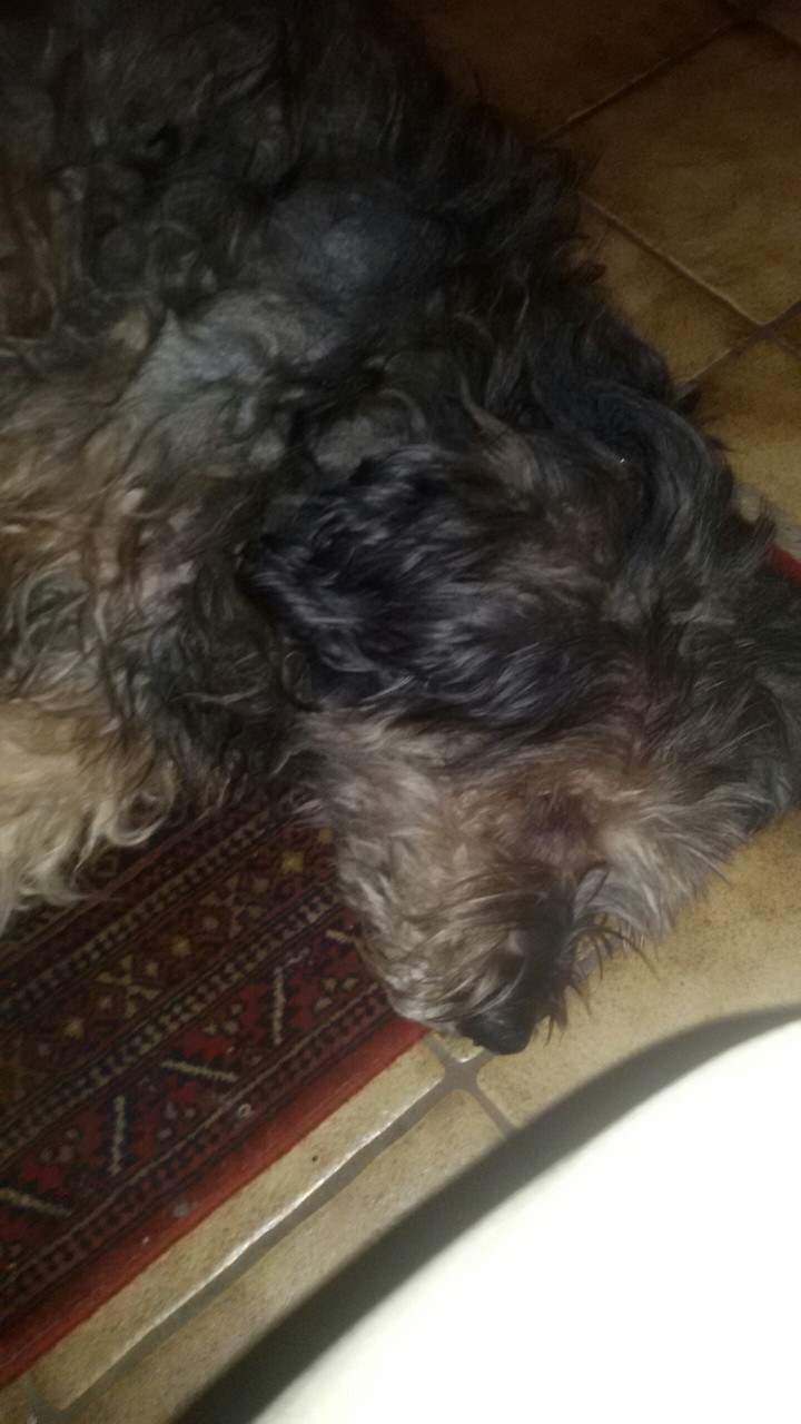 Micki
