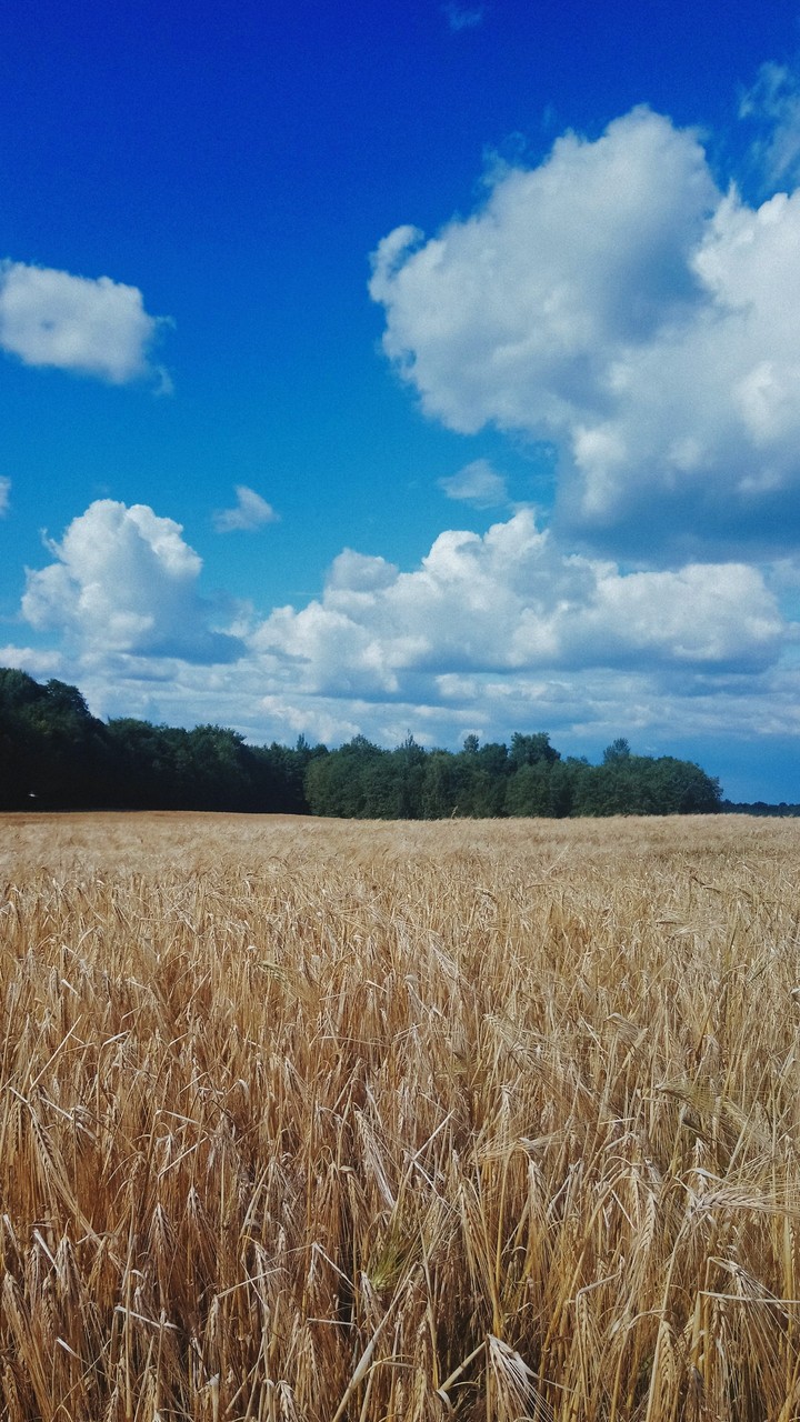 Lost in Latvian countryside.