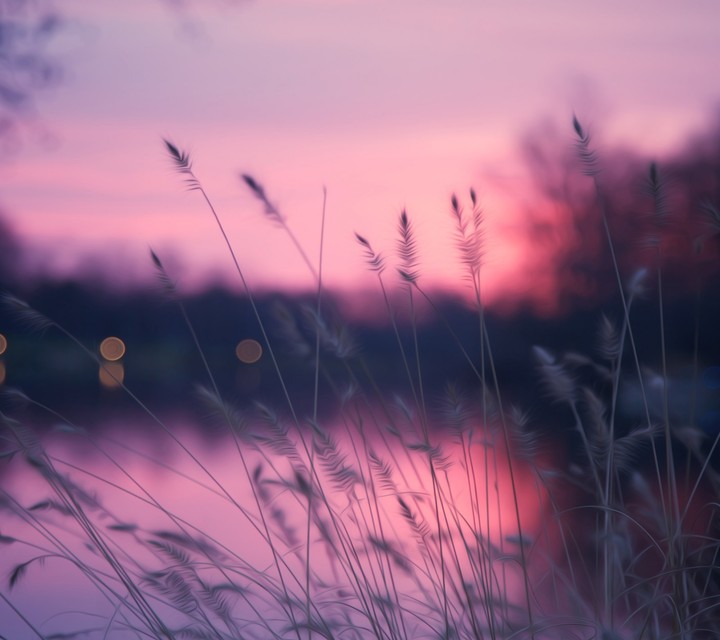 evening lake site