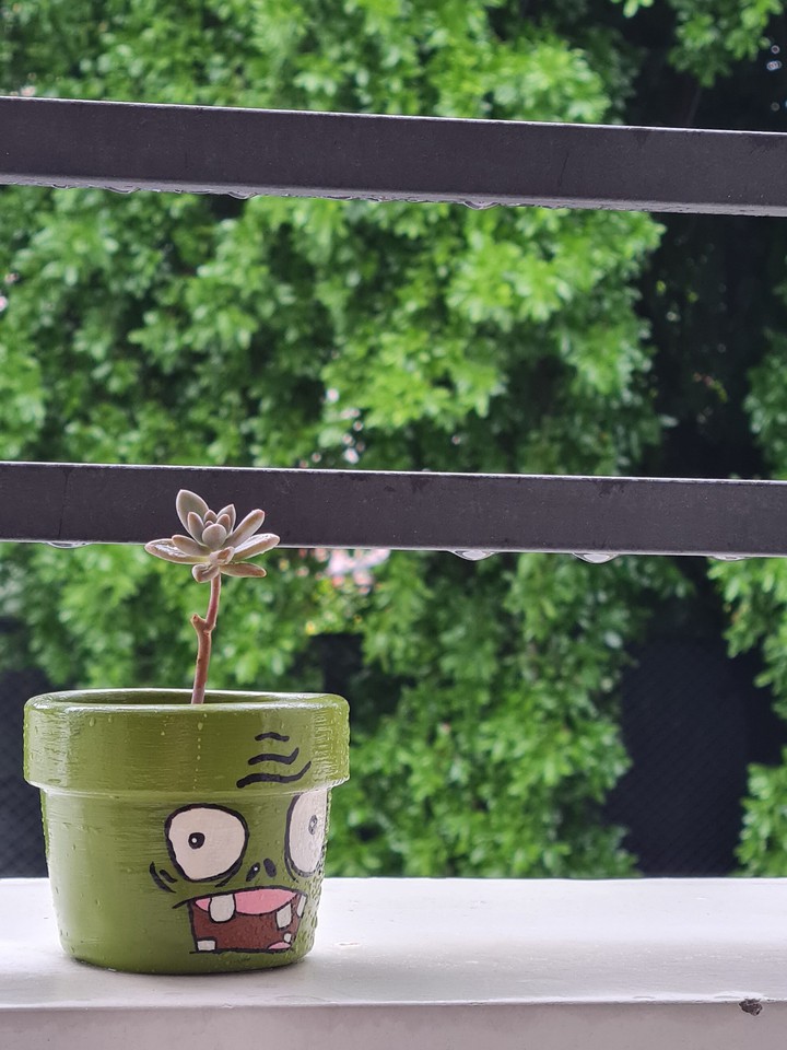 rainy day