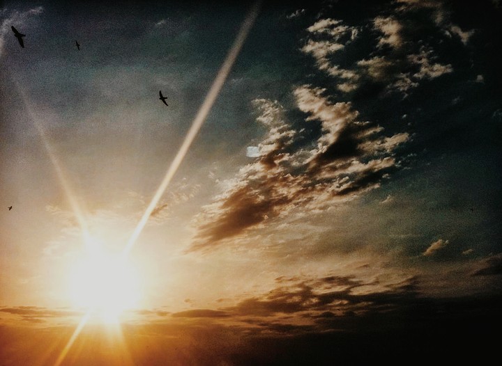 I believe that I can fly.