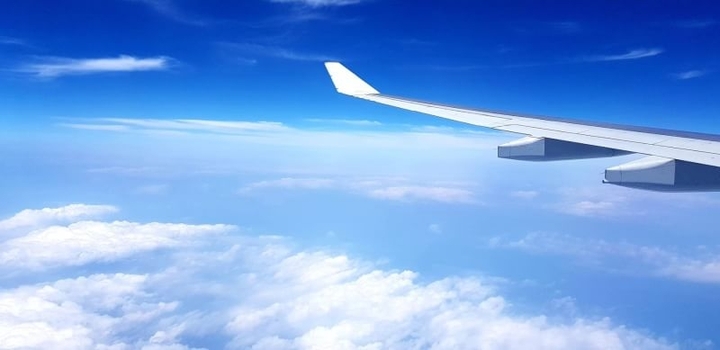 wing