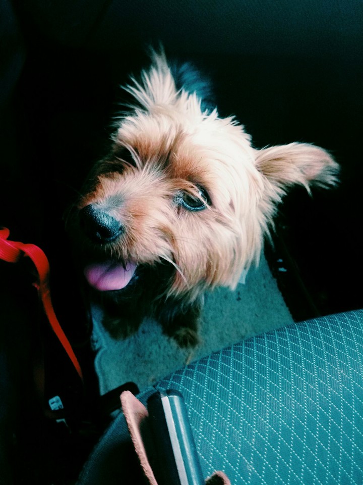 Titou