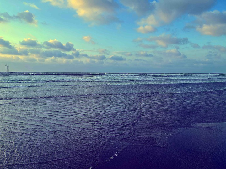 海