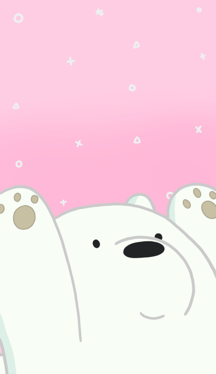 ????ʕ•ᴥ•ʔ