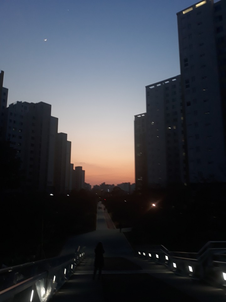 노을 굳