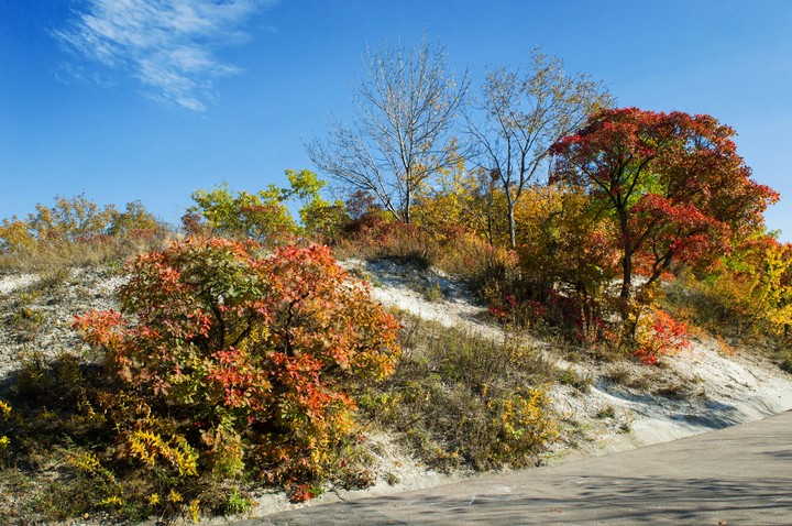 autumn