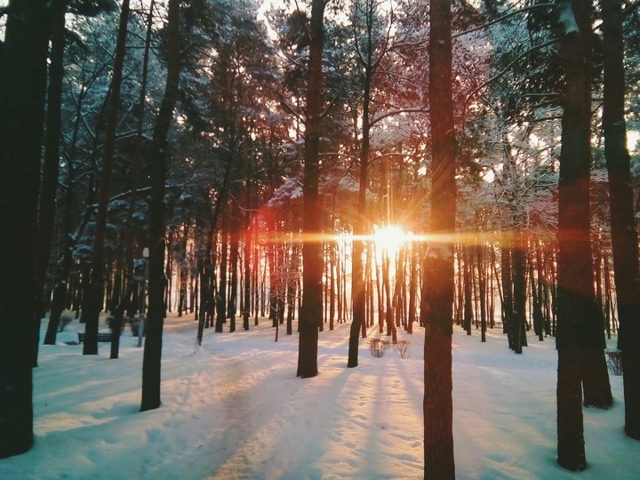 Sunset
