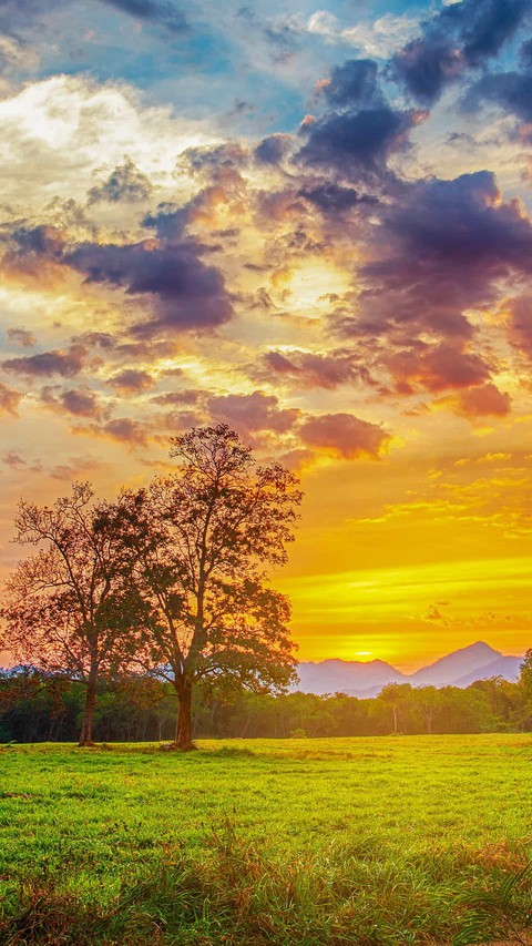nature, sunrise achtergronden