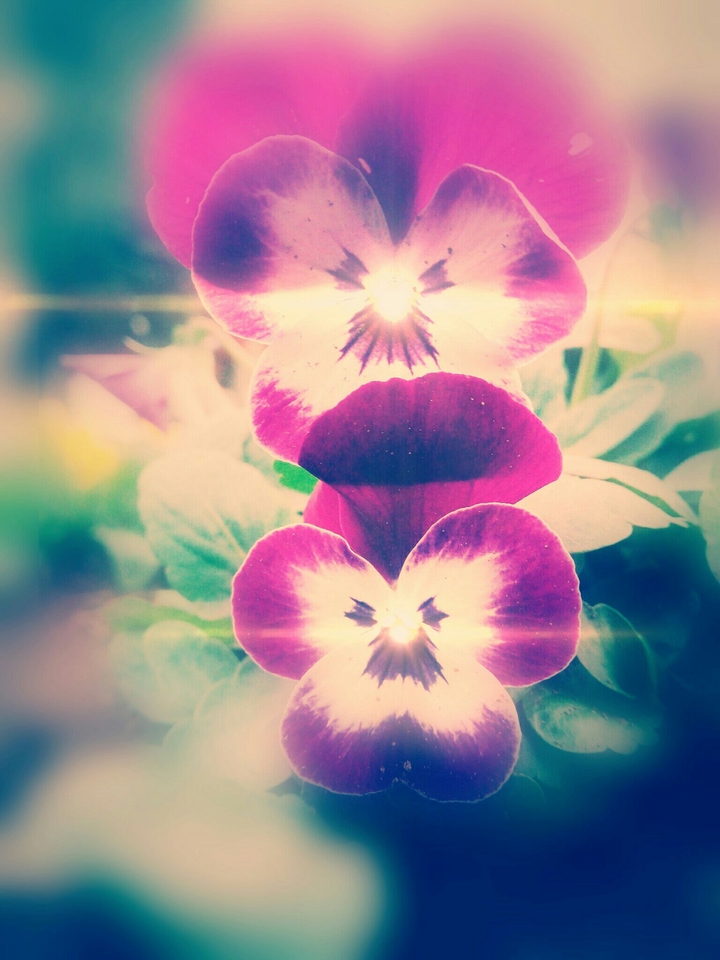 flower