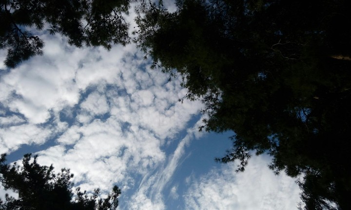 Lattakia sky