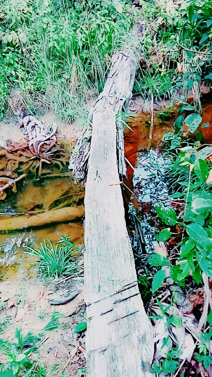 paisaje