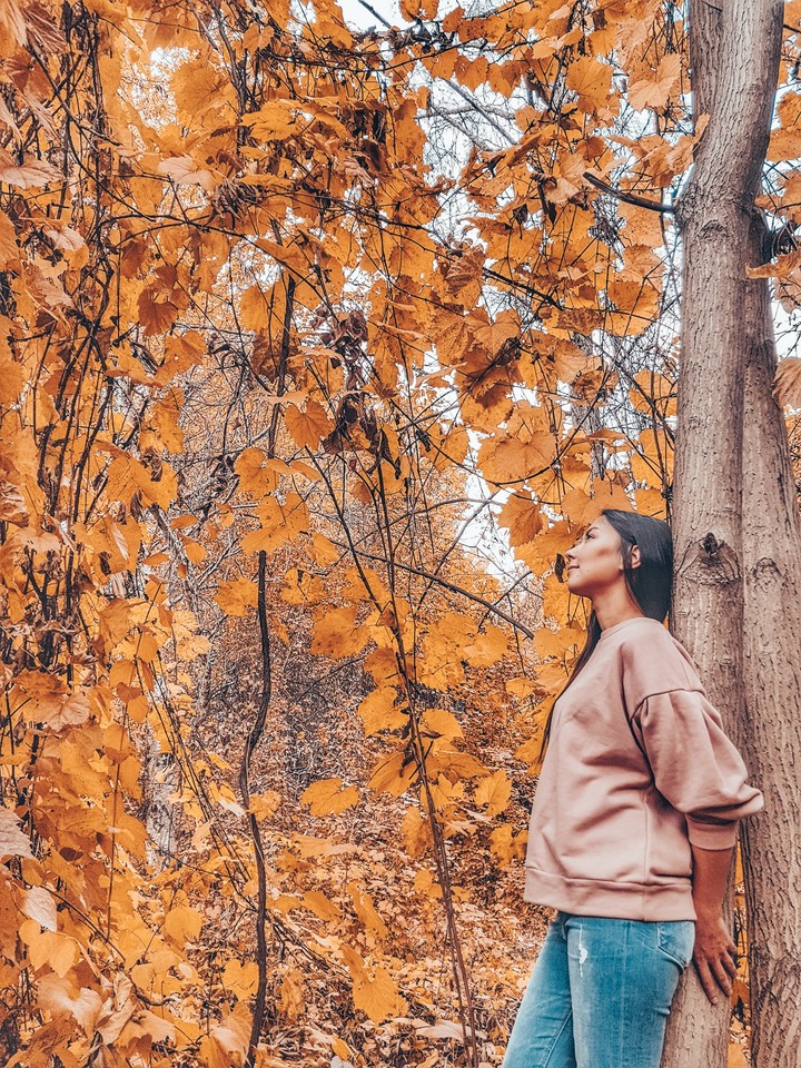 Autumn 