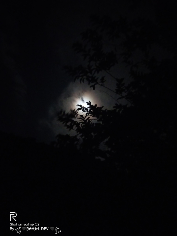 #night