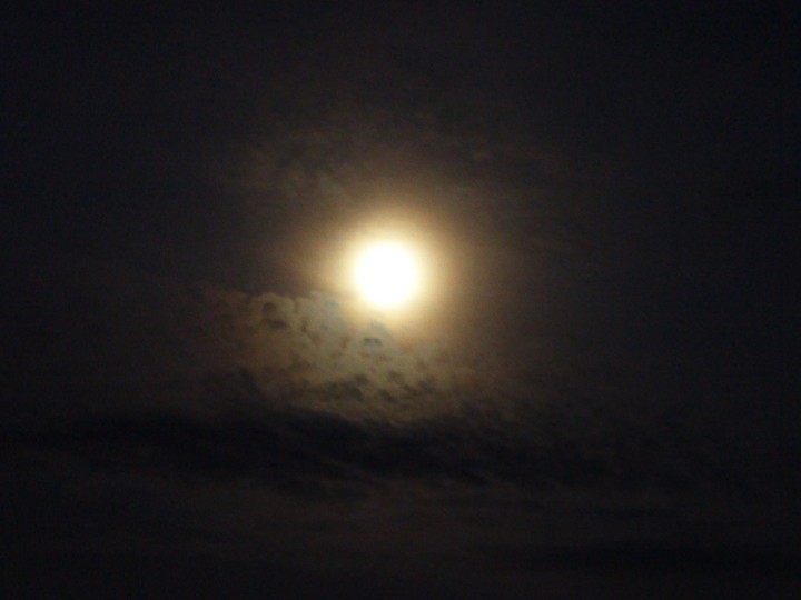 Mond 