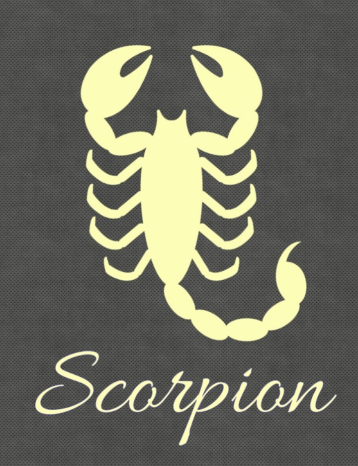 Scorpion