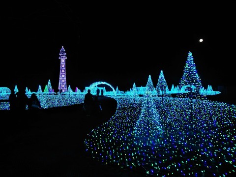 Christmas lights