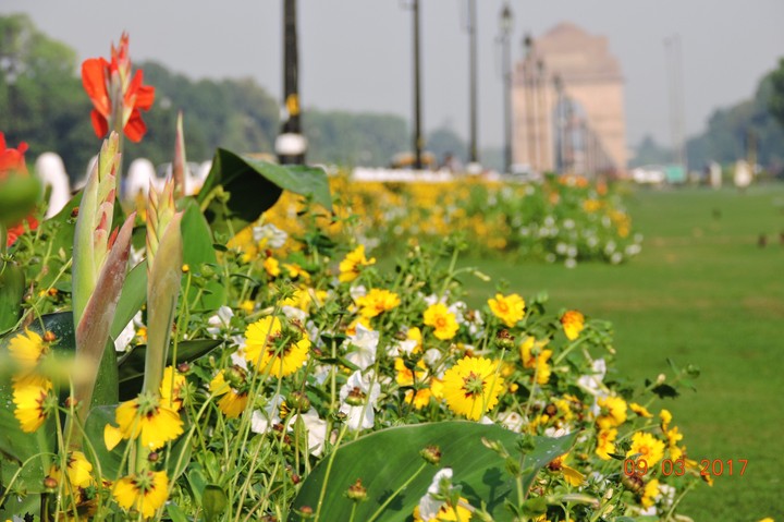 INCREDIBLE INDIA