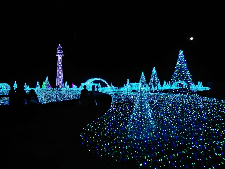 Christmas lights