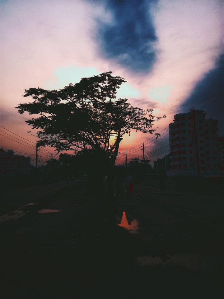 a beautiful evening