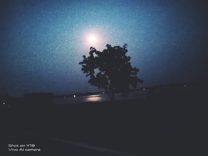 Night View