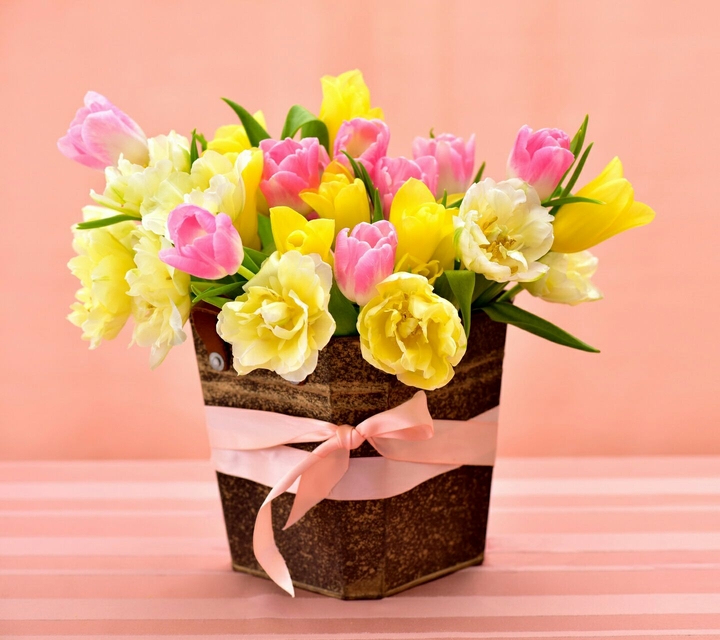 ورد اصفر jaune yellow