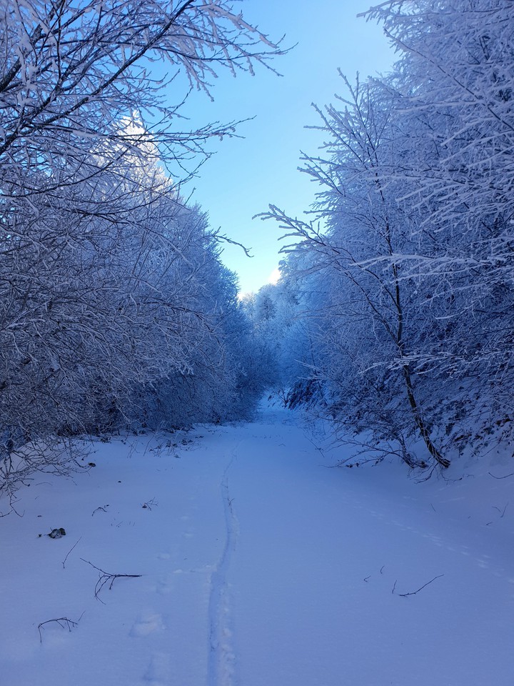 snow