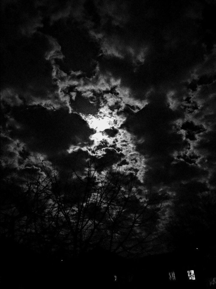 Dark