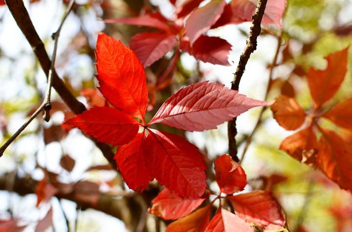 Autumn is here
